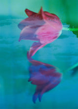 画像をギャラリービューアに読み込む, TWO-TONE HOODIE_BLUE/GREEN print/02 size