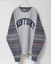 Load image into Gallery viewer, Sweat × knit switch pullover_E