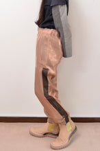 画像をギャラリービューアに読み込む, SHINY SATIN TRUCK PT